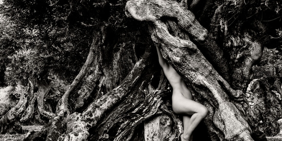 Monochrome photo of a nude person merging with the twisted tree roots outdoors, arms raised and body partly hidden by the gnarled wood.