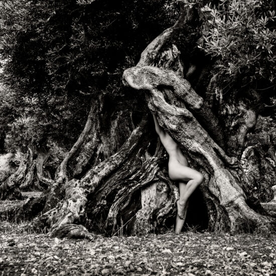Monochrome photo of a nude person merging with the twisted tree roots outdoors, arms raised and body partly hidden by the gnarled wood.