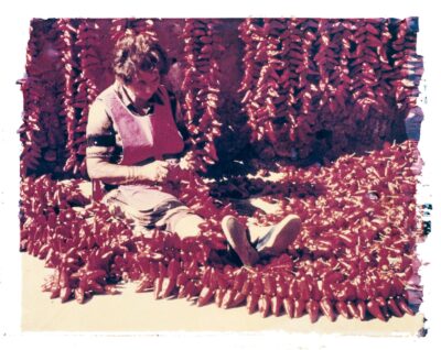 Dried red peppers