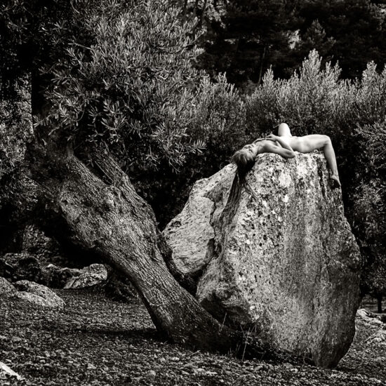 THE WEIGHT OF TIME | Olive Trees and Myths (Hidden Mythologies)